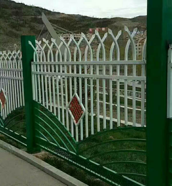 �����o��